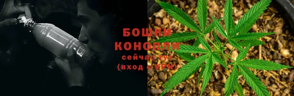 твердый Осташков