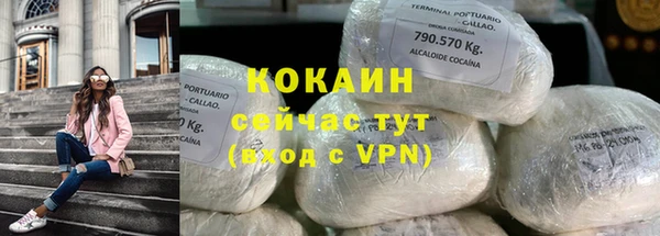 PSILOCYBIN Осинники
