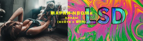 твердый Осташков