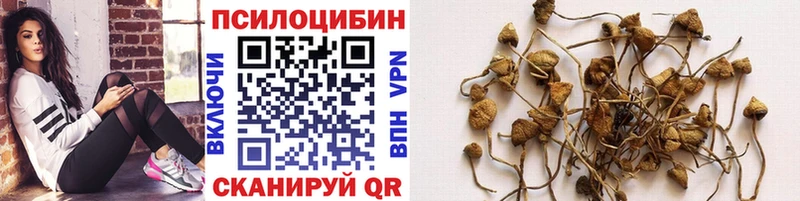 даркнет сайт  MEGA ссылки  Галлюциногенные грибы Psilocybe  Сосновоборск 