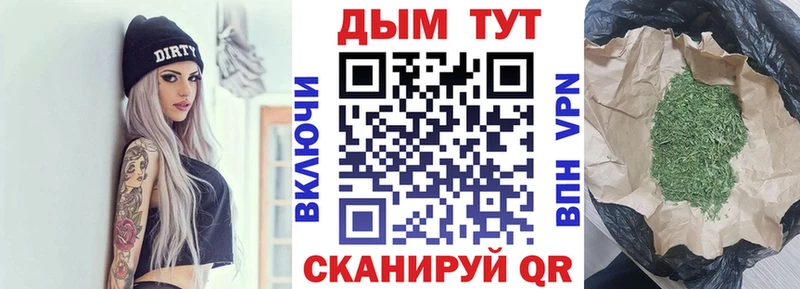 ссылка на мегу онион  что такое наркотик  Сосновоборск  Канабис сатива 
